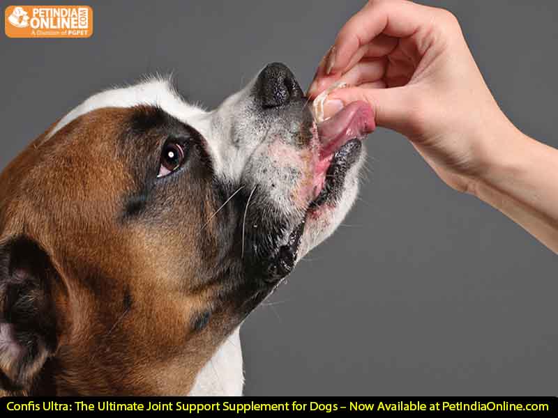 Confis Ultra: The Ultimate Joint Support Supplement for Dogs – Now Available at PetIndiaOnline.com
