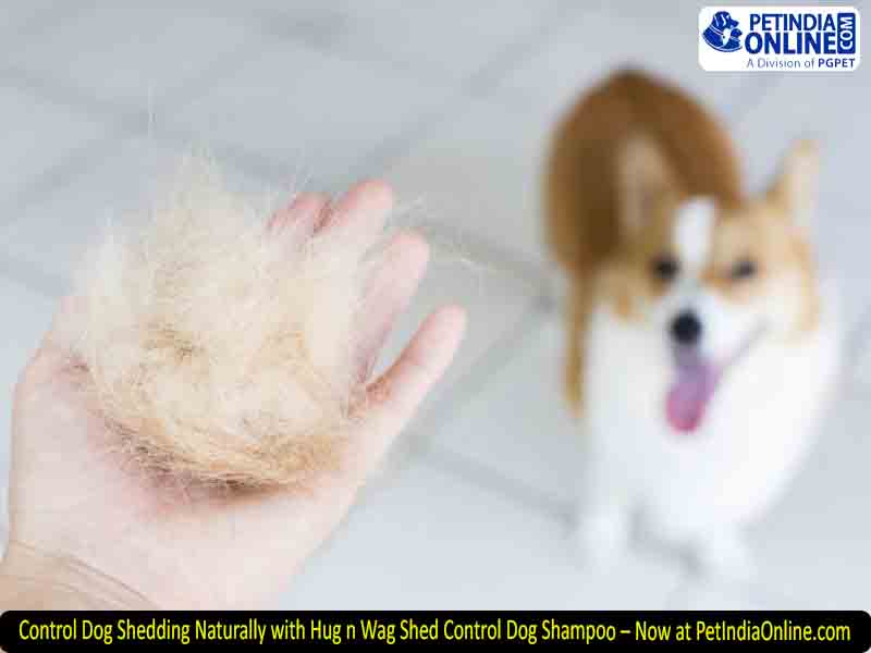 Control Dog Shedding Naturally with Hug n Wag Shed Control Dog Shampoo – Now at PetIndiaOnline.com
