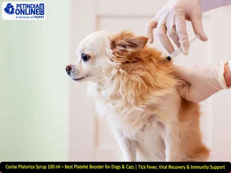 Corise Platorica Syrup 100 ml – Best Platelet Booster for Dogs & Cats | Tick Fever, Viral Recovery & Immunity Support
