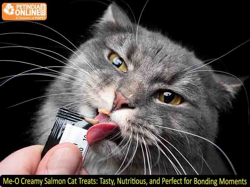 Me-O Creamy Salmon Cat Treats: Tasty, Nutritious, and Perfect for Bonding Moments
