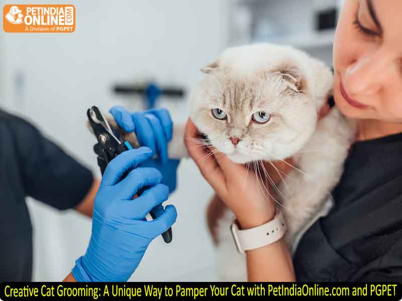 Creative Cat Grooming: A Unique Way to Pamper Your Cat with PetIndiaOnline.com and PGPET
