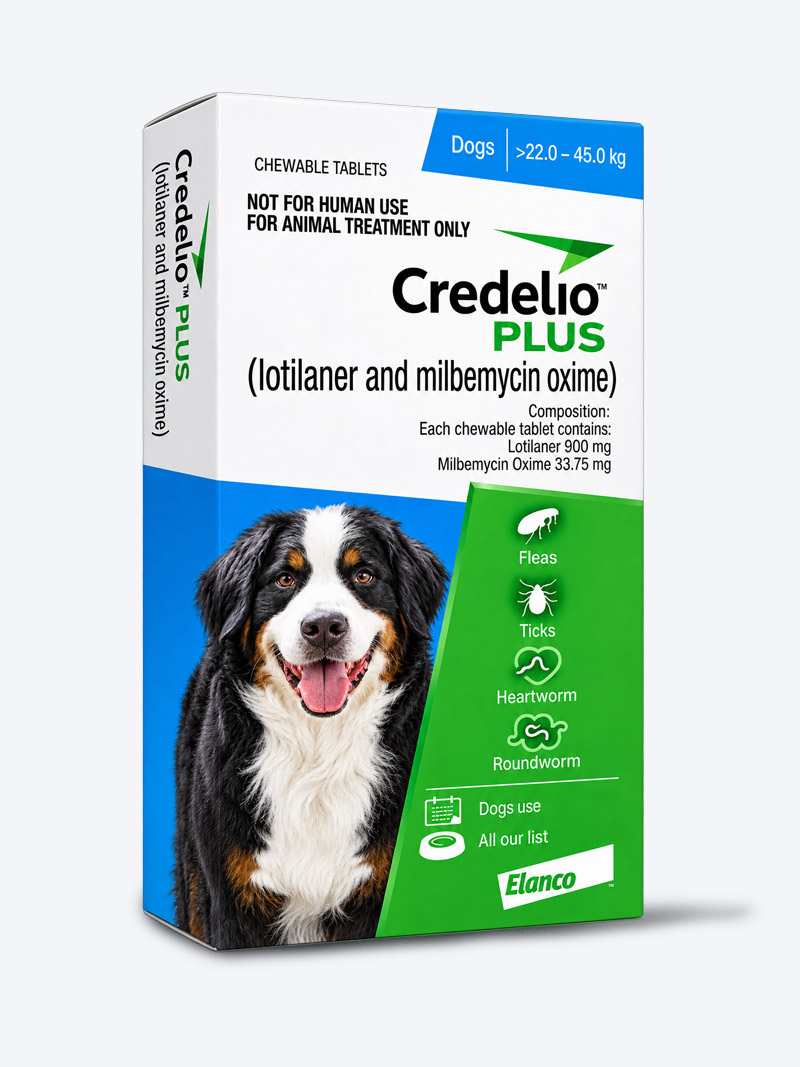Credelio PLUS 900 mg Chewable Tablets for Dogs 22–45 kg | PetIndiaOnline
