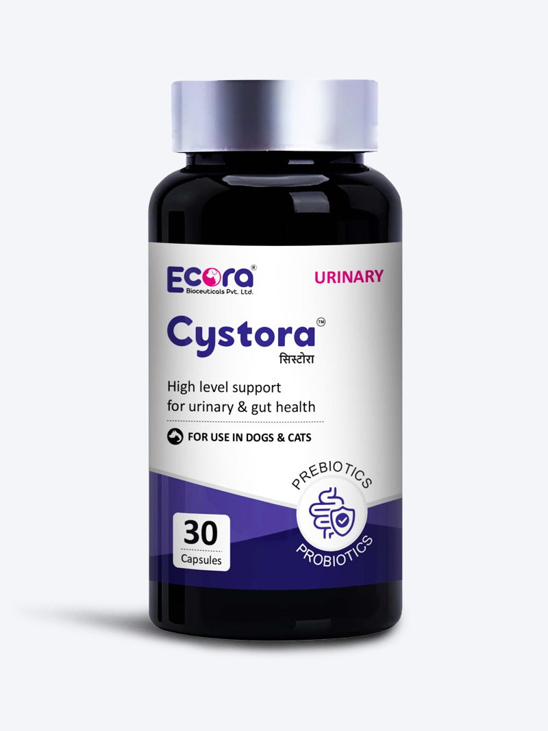 Cystora Bladder Support Capsules for Dogs & Cats (30 Capsules) | Urinary Health Supplement