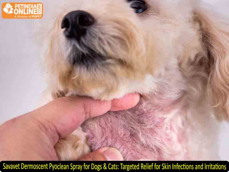Savavet Dermoscent Pyoclean Spray for Dogs & Cats: Targeted Relief for Skin Infections and Irritations