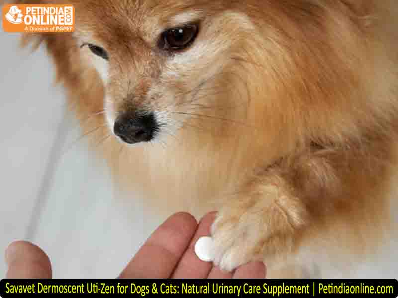 Savavet Dermoscent Uti-Zen for Dogs & Cats: Natural Urinary Care Supplement | Petindiaonline.com