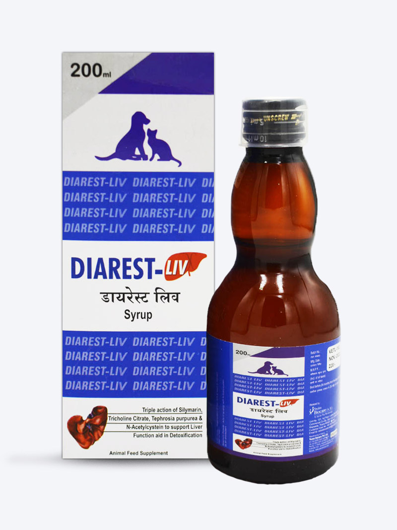 Buy Diarest - Liv Syrup 225 ML | Liver Support Supplement for Dogs – Petindiaonline