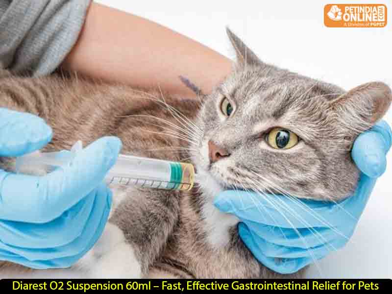 Diarest O2 Suspension 60ml – Fast, Effective Gastrointestinal Relief for Pets
