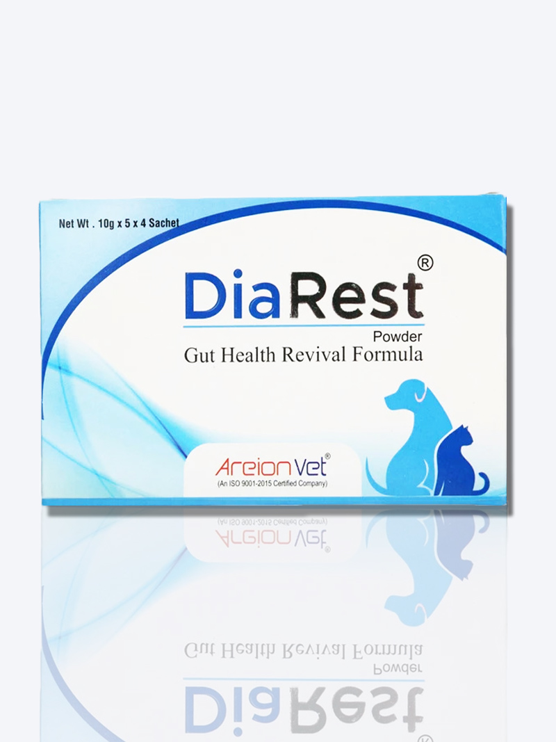 Diarest Electrolyte Sachets for Dogs and Cats 10gm – Fast Relief from Dehydration & Diarrhea