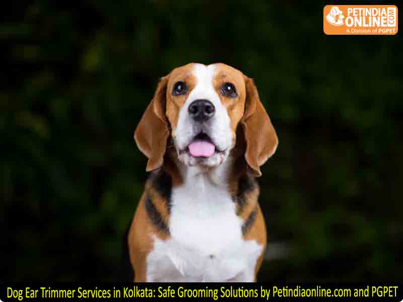 Dog Ear Trimmer Services in Kolkata: Safe Grooming Solutions by Petindiaonline.com and PGPET