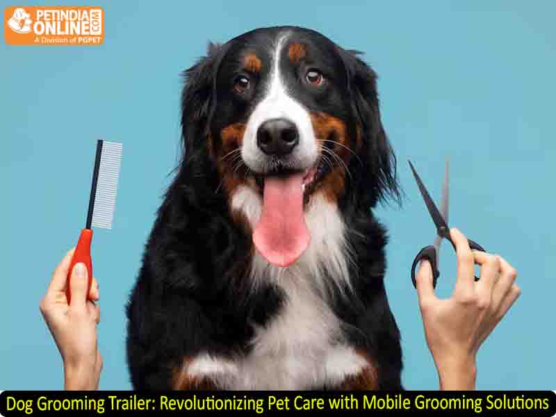Dog Grooming Trailer: Revolutionizing Pet Care with Mobile Grooming Solutions