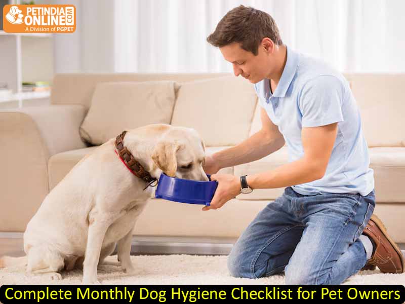 Complete Monthly Dog Hygiene Checklist for Pet Owners