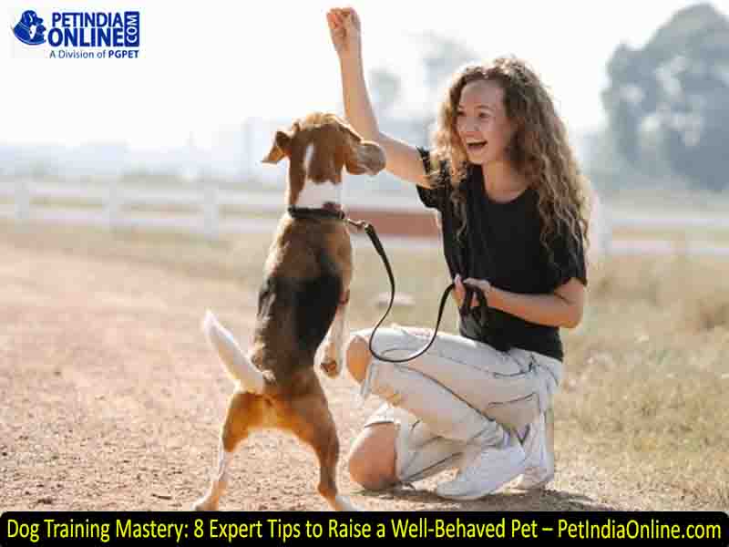 Dog Training Mastery: 8 Expert Tips to Raise a Well-Behaved Pet – PetIndiaOnline.com
