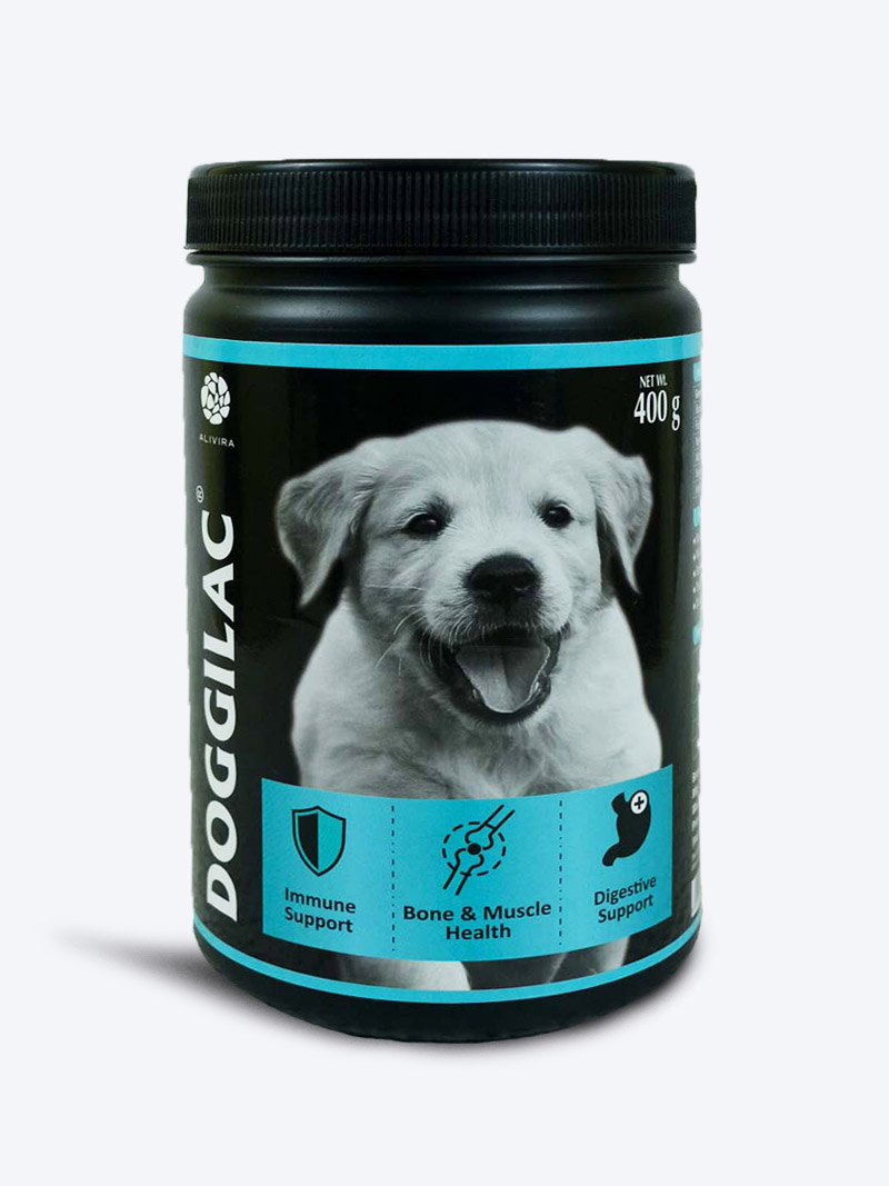 Buy Doggilac 400gm Digestive Supplement for Dogs | Petindiaonline.com