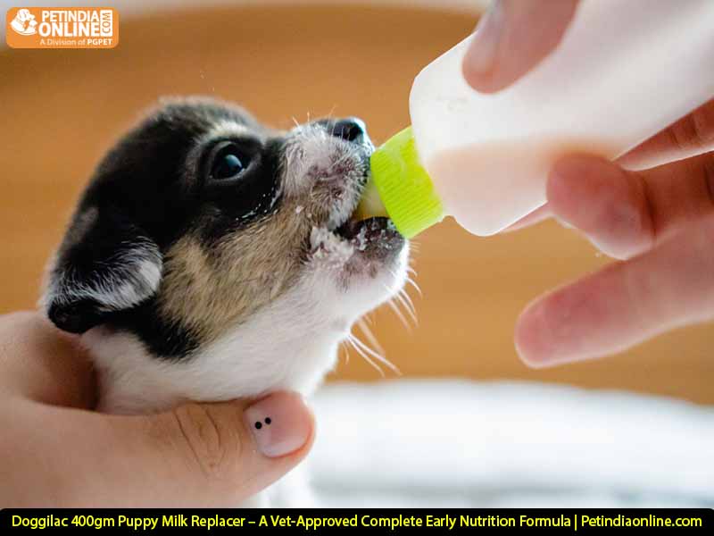 Doggilac 400gm Puppy Milk Replacer – A Vet-Approved Complete Early Nutrition Formula | Petindiaonline.com