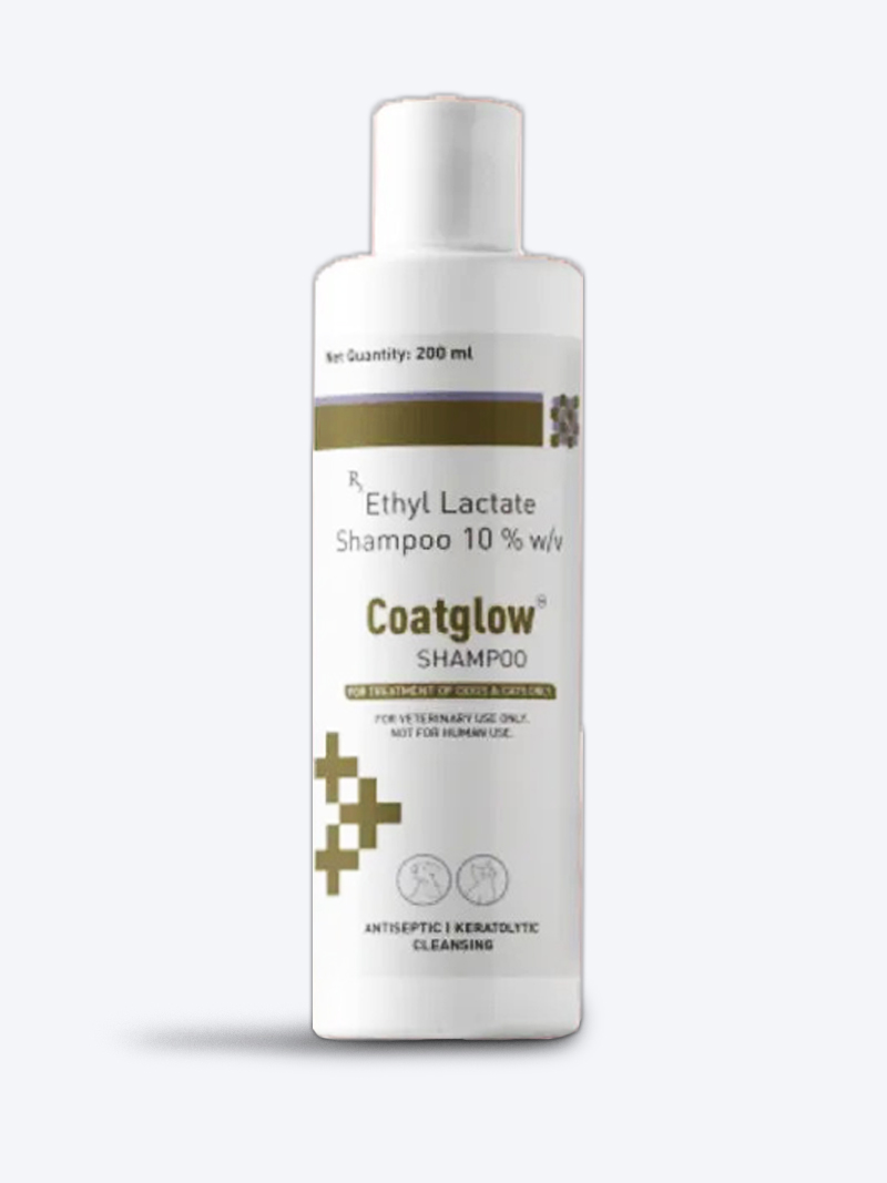 Drools Coatglow Shampoo for Dogs and Cats | Enhance Shine & Soft Coat – Petindiaonline