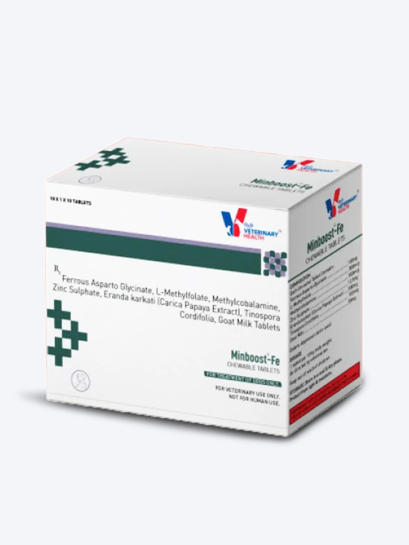 Drools Minboost Fe Tablets for Dogs | Iron & Mineral Supplement – Petindiaonline