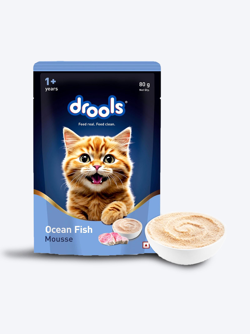 Drools Ocean Fish Mousse Adult Cat Wet Food 80g | Buy Online India - PetIndiaOnline