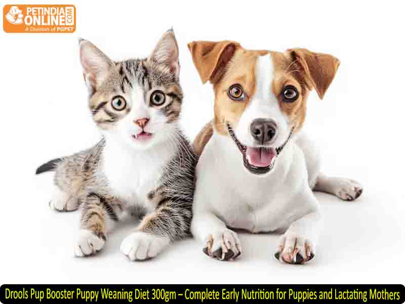 Drools Pup Booster Puppy Weaning Diet 300gm – Complete Early Nutrition for Puppies and Lactating Mothers
