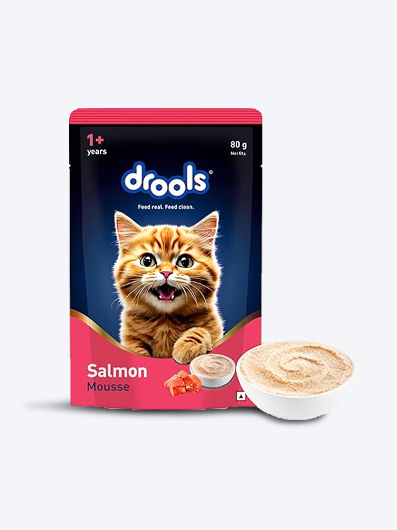 Drools Salmon Mousse Adult Cat Wet Food 80g (5+1 Pack) | Buy Online India - PetIndiaOnline