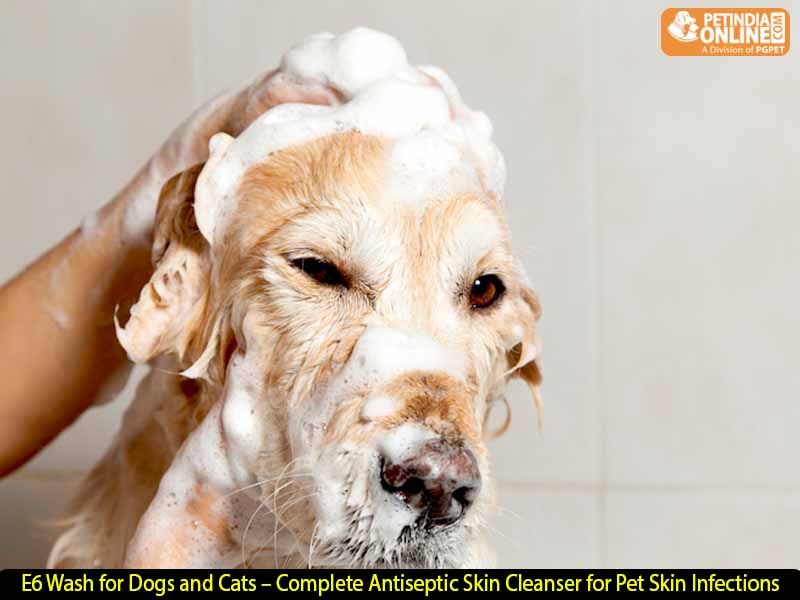 E6 Wash for Dogs and Cats – Complete Antiseptic Skin Cleanser for Pet Skin Infections