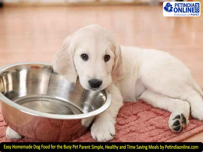 Easy Homemade Dog Food for the Busy Pet Parent Simple, Healthy and Time Saving Meals by Petindiaonline.com