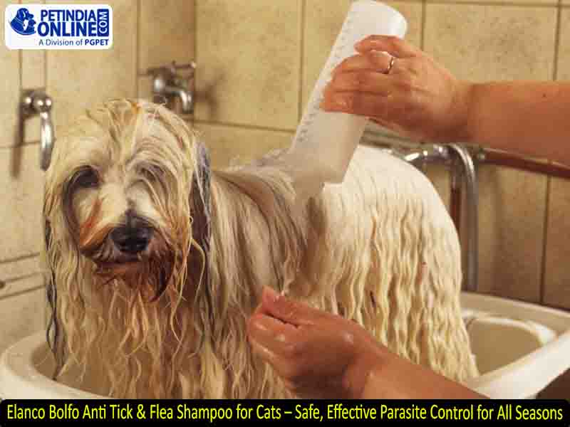 Elanco Bolfo Anti Tick & Flea Shampoo for Cats – Safe, Effective Parasite Control for All Seasons
