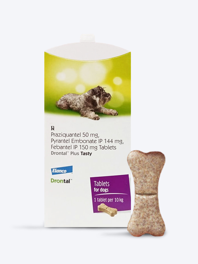 Drontal Plus Tasty Dewormer for Dogs 3 Tabs | Petindiaonline