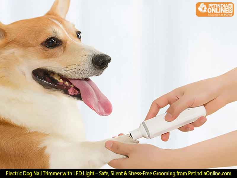 Electric Dog Nail Trimmer with LED Light – Safe, Silent & Stress-Free Grooming from PetIndiaOnline.com