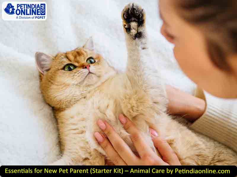 Essentials for New Pet Parent (Starter Kit) – Animal Care by Petindiaonline.com