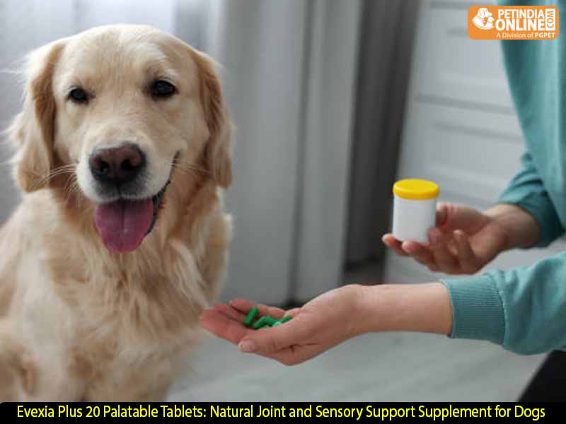 Evexia Plus 20 Palatable Tablets: Natural Joint and Sensory Support Supplement for Dogs