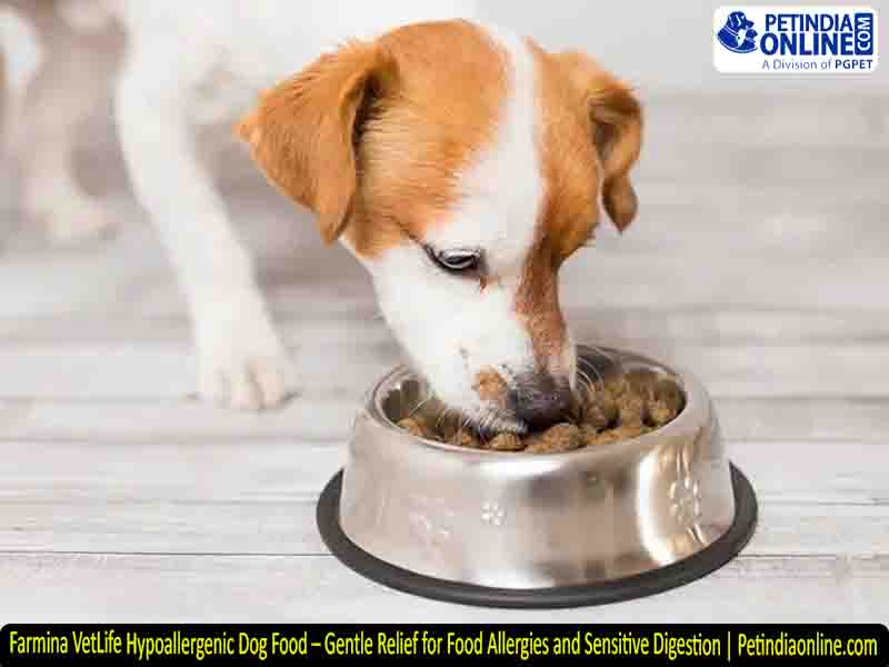 Farmina VetLife Hypoallergenic Dog Food – Gentle Relief for Food Allergies and Sensitive Digestion | Petindiaonline.com