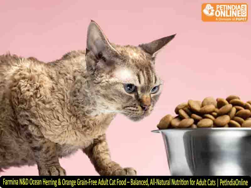 Farmina N&D Ocean Herring & Orange Grain-Free Adult Cat Food – Balanced, All-Natural Nutrition for Adult Cats | PetIndiaOnline