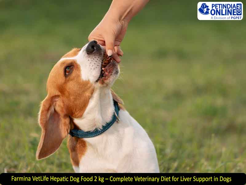 Farmina VetLife Hepatic Dog Food 2 kg – Complete Veterinary Diet for Liver Support in Dogs