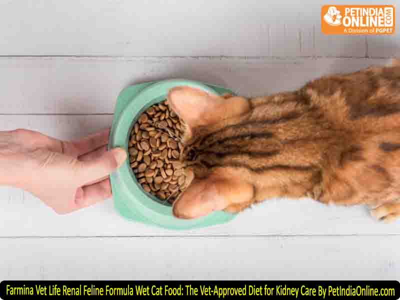 Farmina Vet Life Renal Feline Formula Wet Cat Food: The Vet-Approved Diet for Kidney Care By PetIndiaOnline.com