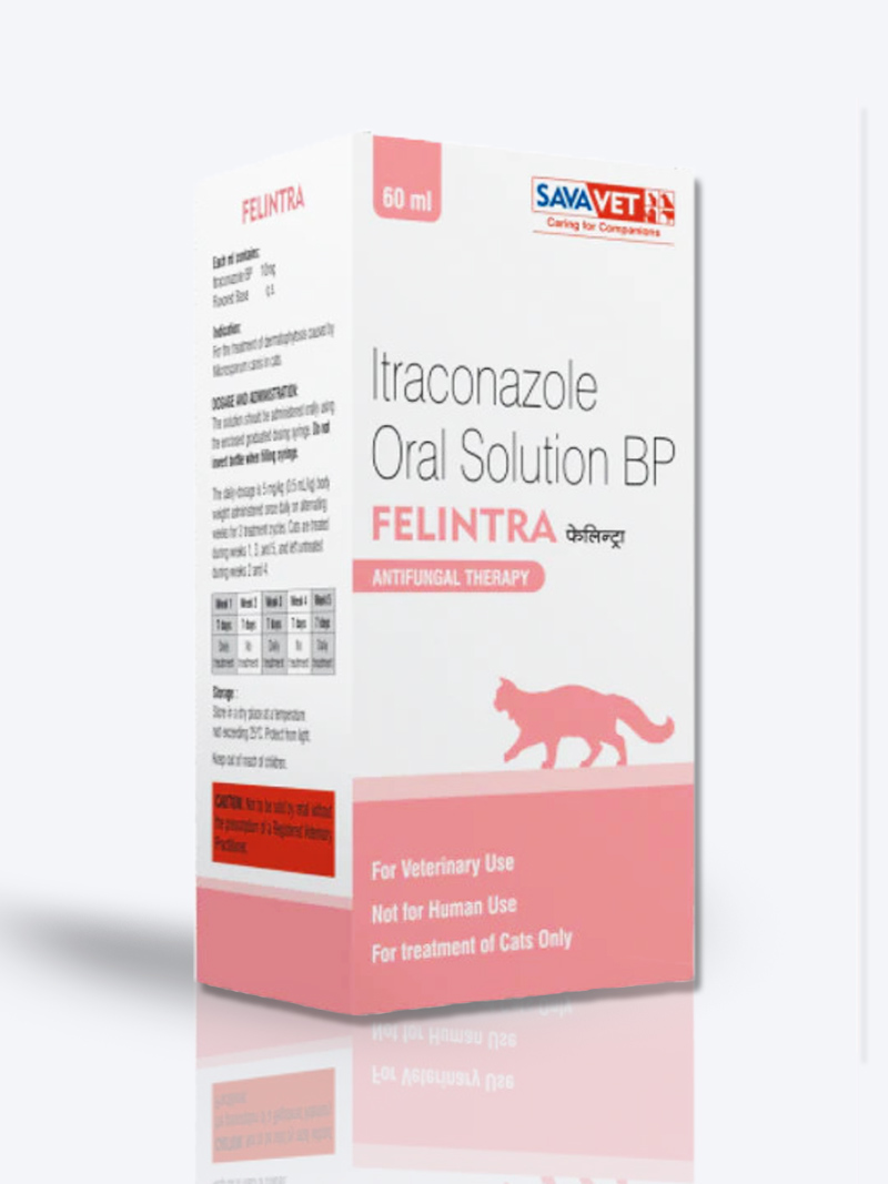 Savavet Felintra Oral Solution for Cats 60ml – Broad-Spectrum Antibacterial Treatment