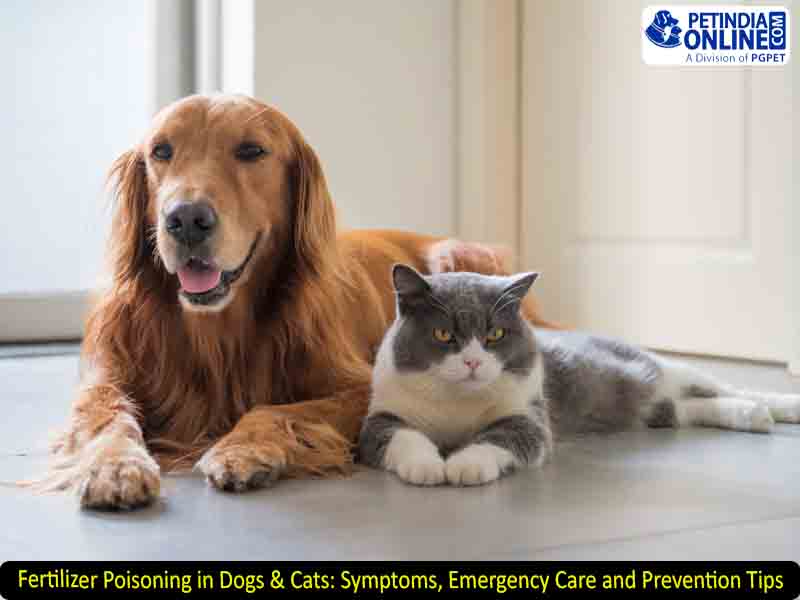 Fertilizer Poisoning in Dogs & Cats: Symptoms, Emergency Care and Prevention Tips