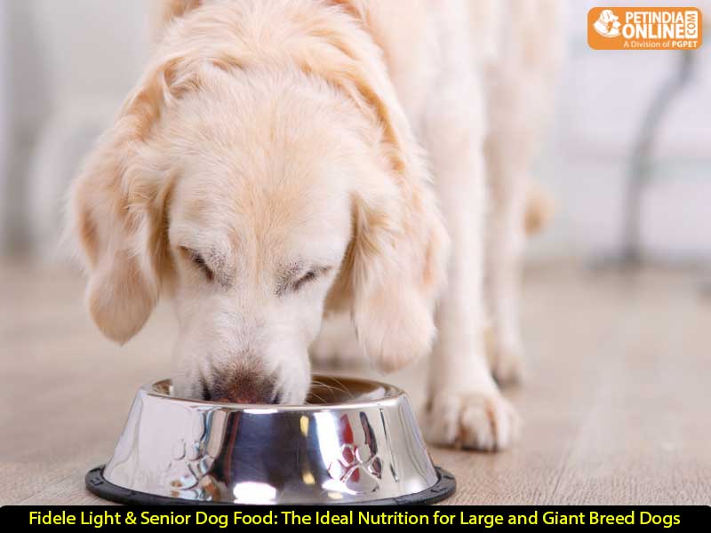 Fidele Light & Senior Dog Food: The Ideal Nutrition for Large and Giant Breed Dogs