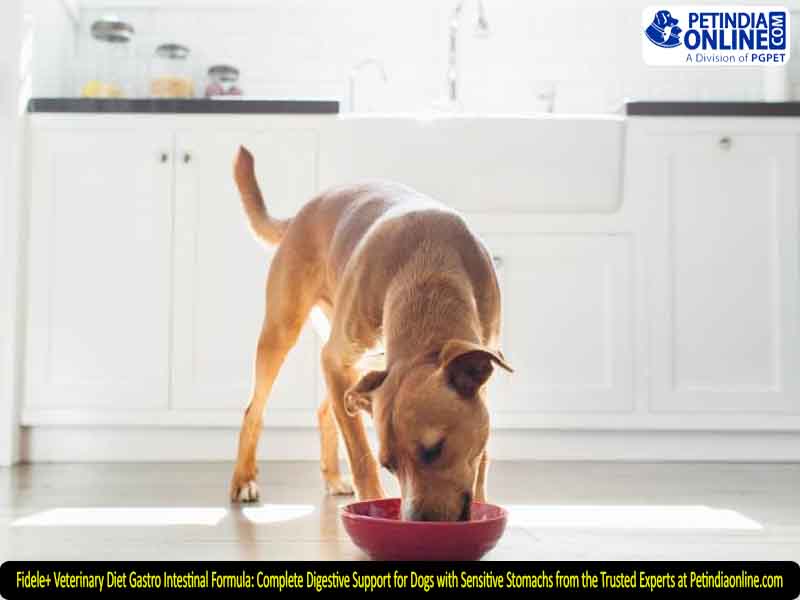 Fidele+ Veterinary Diet Gastro Intestinal Formula: Complete Digestive Support for Dogs with Sensitive Stomachs from the Trusted Experts at Petindiaonline.com