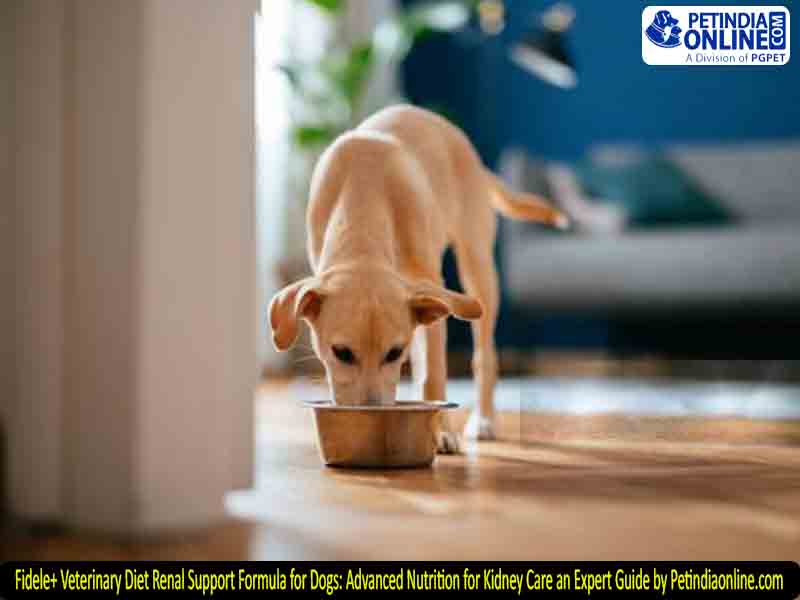 Fidele+ Veterinary Diet Renal Support Formula for Dogs: Advanced Nutrition for Kidney Care an Expert Guide by Petindiaonline.com