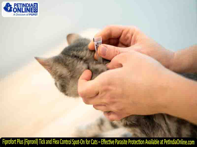 Fiprofort Plus (Fipronil) Tick and Flea Control Spot-On for Cats – Effective Parasite Protection Available at PetIndiaOnline.com