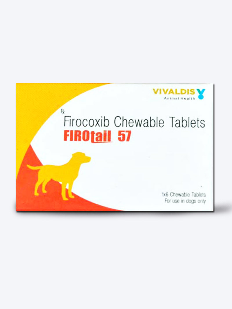 Buy Vivaldis Firotail at a low price in online India on Petindiaonline