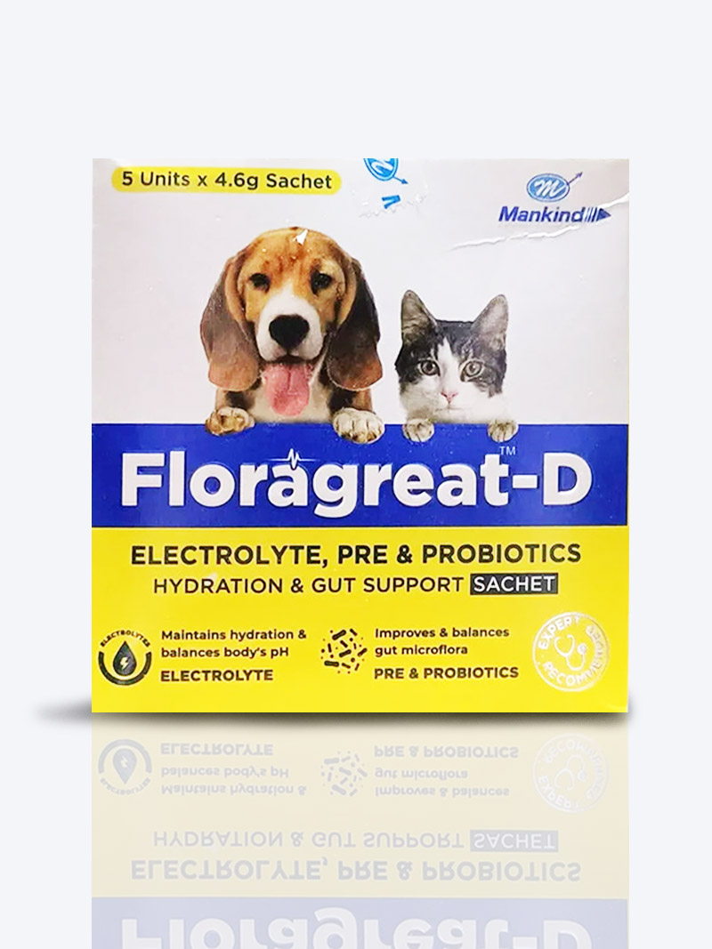 Floragreat D Probiotic & Electrolyte Supplement for Dogs & Cats | Gut & Hydration Support