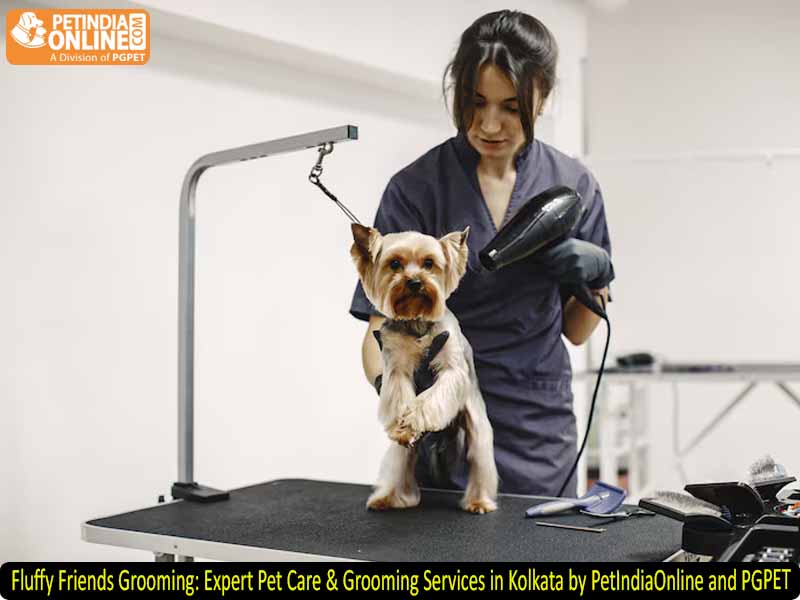 Fluffy Friends Grooming: Expert Pet Care & Grooming Services in Kolkata by PetIndiaOnline and PGPET