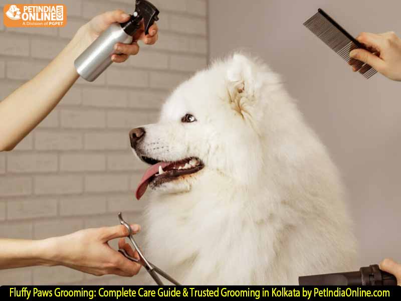 Fluffy Paws Grooming: Complete Care Guide & Trusted Grooming in Kolkata by PetIndiaOnline.com