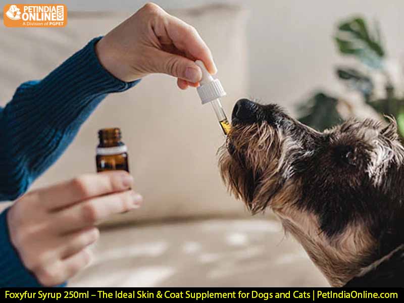 Foxyfur Syrup 250ml – The Ideal Skin & Coat Supplement for Dogs and Cats | PetIndiaOnline.com