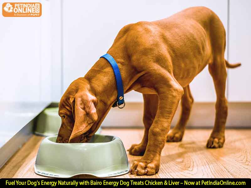 Fuel Your Dog's Energy Naturally with Bairo Energy Dog Treats Chicken & Liver – Now at PetIndiaOnline.com
