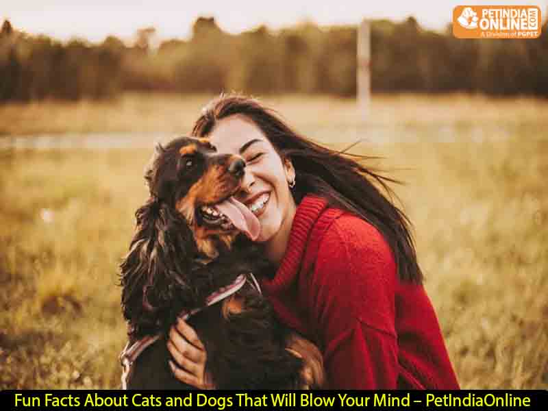 Fun Facts About Cats and Dogs That Will Blow Your Mind – PetIndiaOnline