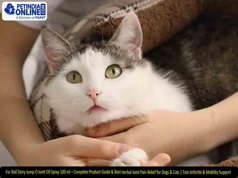 Fur Ball Story Jump O Joint Oil Spray 100 ml – Complete Product Guide & Best Herbal Joint Pain Relief for Dogs & Cats | Fast Arthritis & Mobility Support