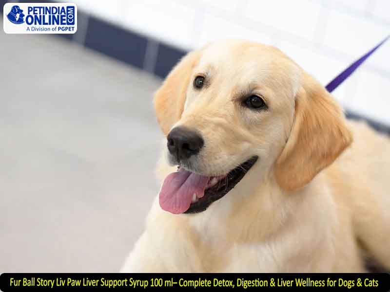 Fur Ball Story Liv Paw Liver Support Syrup 100 ml– Complete Detox, Digestion & Liver Wellness for Dogs & Cats