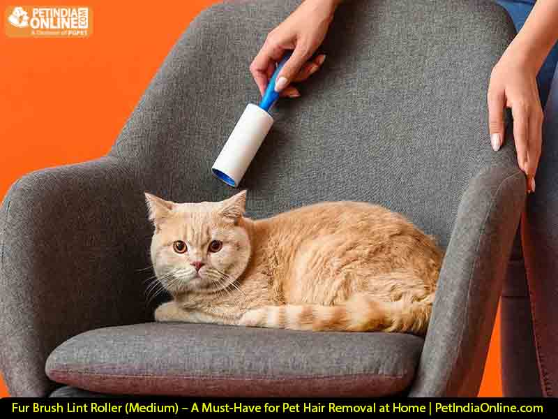 Fur Brush Lint Roller (Medium) – A Must-Have for Pet Hair Removal at Home | PetIndiaOnline.com